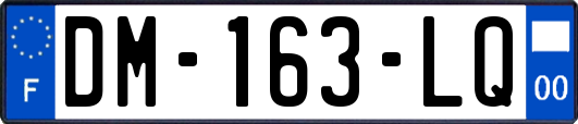 DM-163-LQ