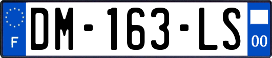 DM-163-LS