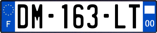 DM-163-LT