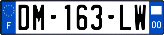 DM-163-LW