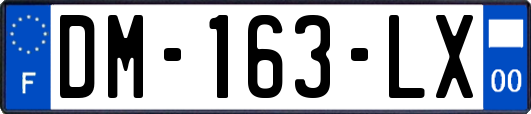 DM-163-LX