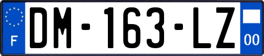 DM-163-LZ