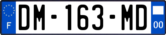 DM-163-MD