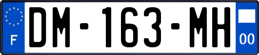 DM-163-MH