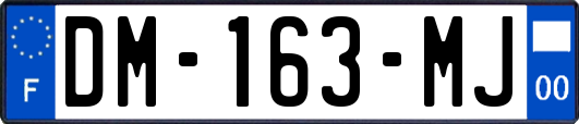 DM-163-MJ