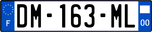 DM-163-ML