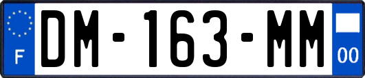 DM-163-MM
