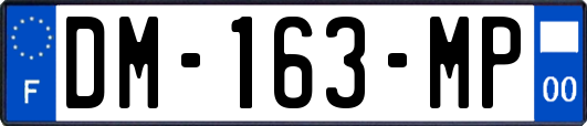 DM-163-MP