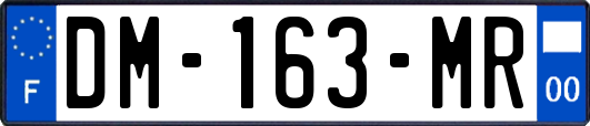 DM-163-MR