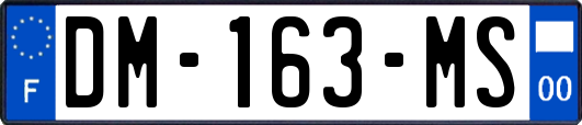 DM-163-MS