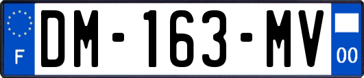 DM-163-MV