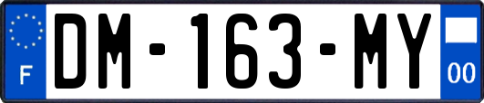 DM-163-MY