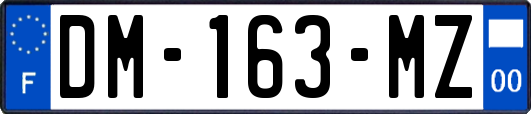 DM-163-MZ
