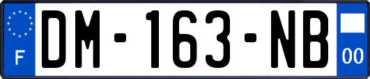 DM-163-NB