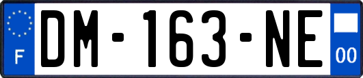 DM-163-NE