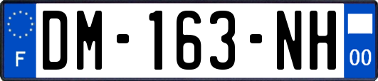 DM-163-NH