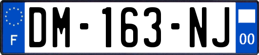 DM-163-NJ