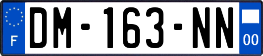 DM-163-NN