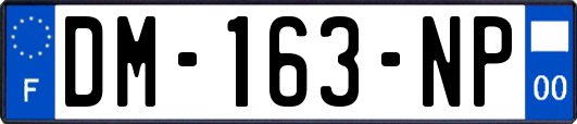 DM-163-NP