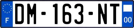 DM-163-NT