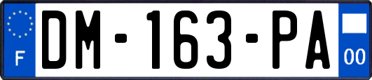 DM-163-PA