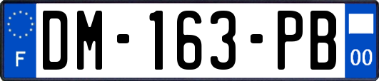 DM-163-PB