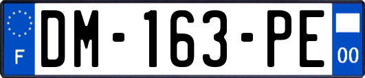 DM-163-PE