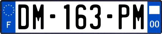 DM-163-PM