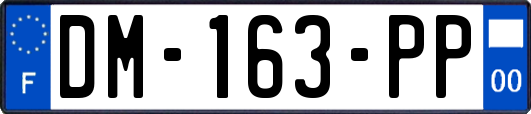 DM-163-PP