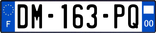 DM-163-PQ
