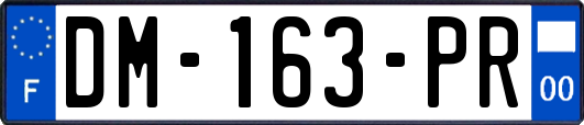 DM-163-PR