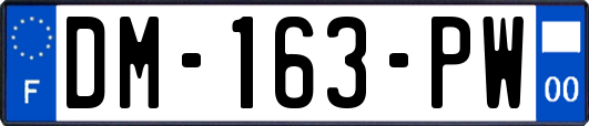 DM-163-PW