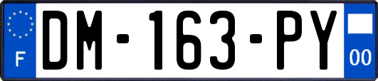 DM-163-PY