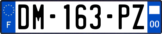 DM-163-PZ