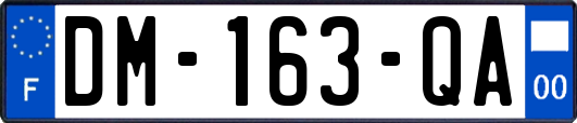 DM-163-QA