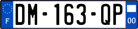 DM-163-QP