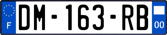 DM-163-RB