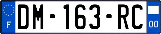DM-163-RC