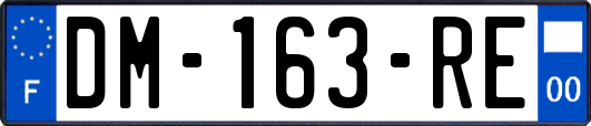 DM-163-RE