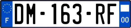 DM-163-RF