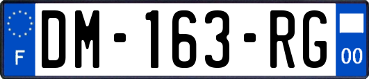 DM-163-RG