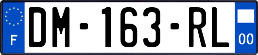 DM-163-RL