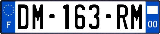 DM-163-RM