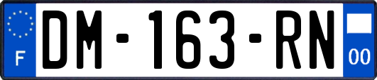 DM-163-RN