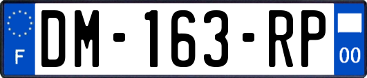 DM-163-RP