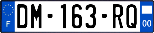 DM-163-RQ