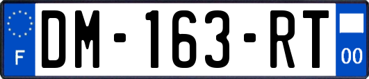 DM-163-RT
