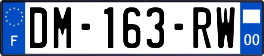 DM-163-RW