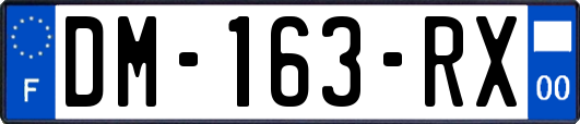 DM-163-RX