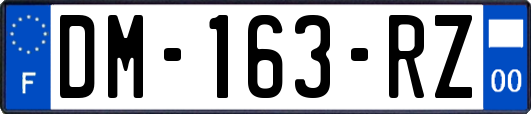 DM-163-RZ